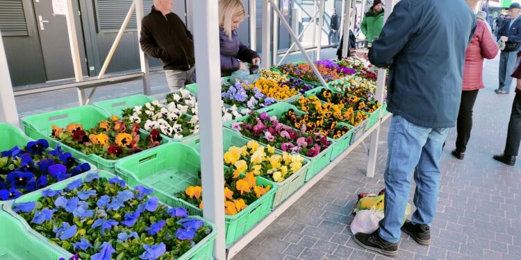 Stalowa Wola: Bezpłatne bilety na eliminacje do Mistrzostw Europy Piłki Nożnej kobiet