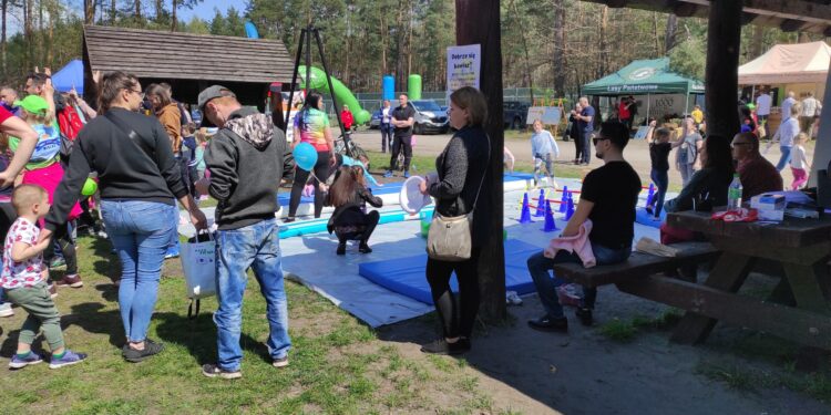 Mielec:  Dbajmy o naszą Ziemię, dbajmy o czystość w lasach…