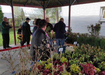 Mielec:  Działkowicze także  świętowali Dzień Ziemi…