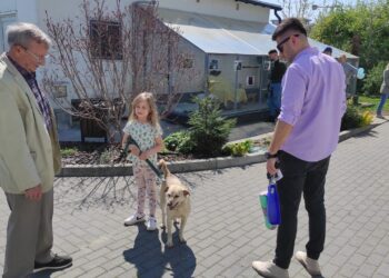 Mielec:  Nie kupuj, adoptuj…