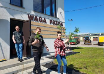 Sandomierz: Sadzonki za elektrośmieci i makulaturę.