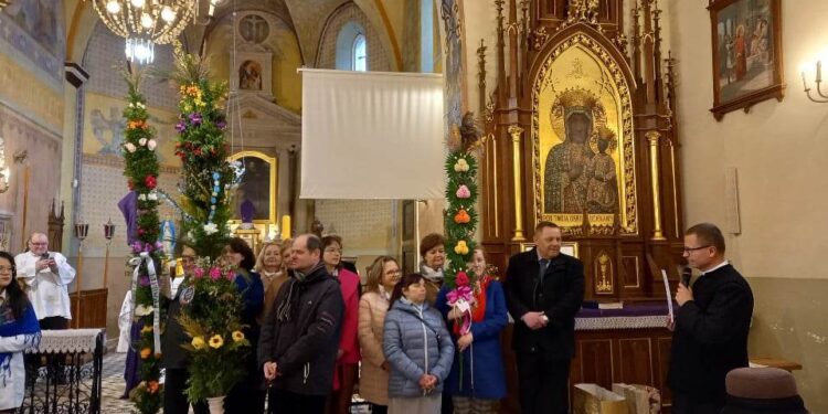 Ptkanów, Opatów, Kleczanów: Najpiękniejsza palma.