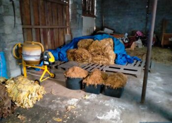 Staszów: Zlikwidowano nielegalną wytwórnię wyrobów tytoniowych