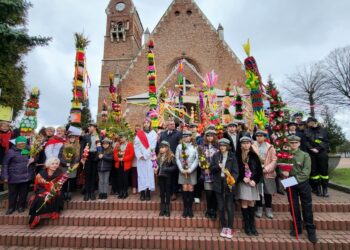 Grębów. Wszystkie palmy były piękne