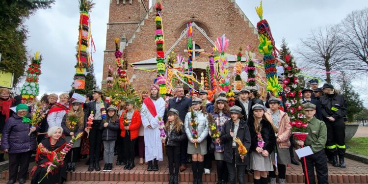 Grębów. Wszystkie palmy były piękne