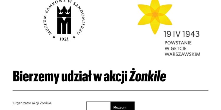 Sandomierz: Akcja „Żonkile” w Muzeum Zamkowym.
