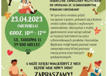 Mielec: Liczymy na ofiarność i pomoc…czworonogom.