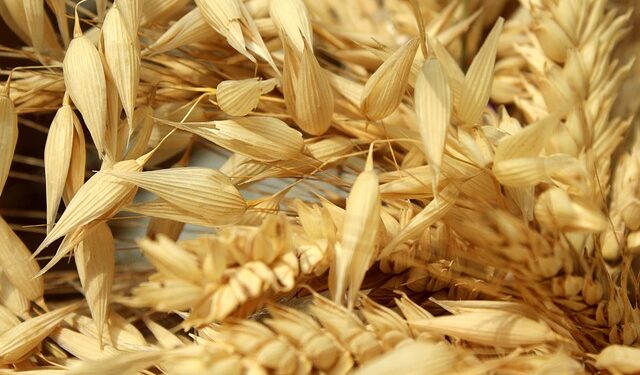 Sandomierz: Problemy na rynku zbóż. Rząd zapowiada wsparcie.