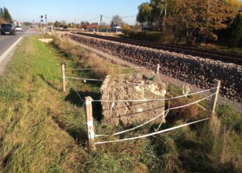 Mielec: Kamień, który był “świadkiem” przemarszu mieleckich Żydów zostanie ocalony.