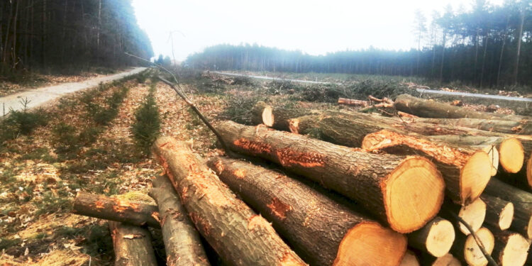 Nisko: Już dziś Targi kariery w RCEZ