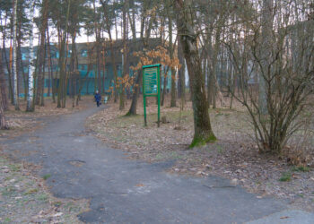 Zarzecze: Mieszkańcy chcą remontu zniszczonej drogi wojewódzkiej 858