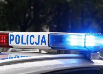 Golce: Na niestrzeżonym przejeździe pociąg potrącił krowy