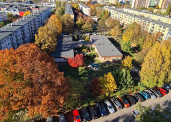 Stalowa Wola: O sprawie wycinki drzew pod budowę przedszkola