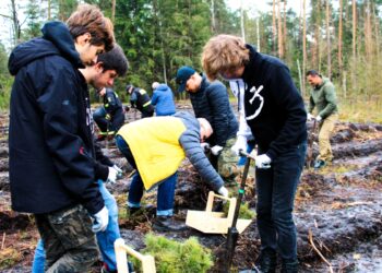Nowa Dęba. Wspólnie posadzili las imienia Jana Pawła II