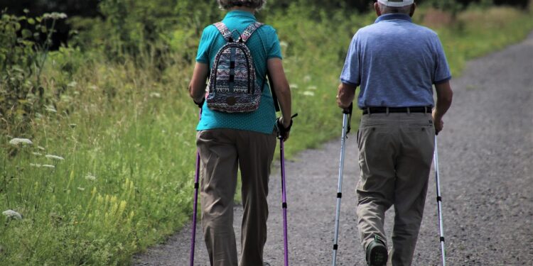 Tarnobrzeg. Wybory do Rady Seniorów w Tarnobrzegu.