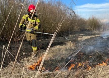Mielec: Apelujemy o niewypalanie traw!