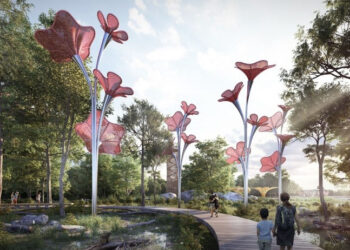 Stalowa Wola: Z dawnych mokradeł ma powstać park Miejskie Mokradła wzorowany na filmie Avatar.