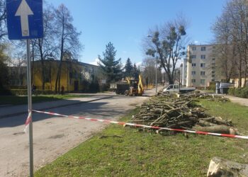 Tarnobrzeg. Remonty dróg i wycinka drzew.