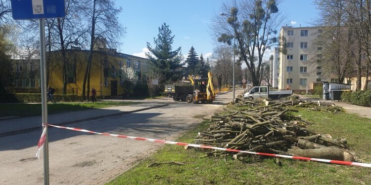 Tarnobrzeg. Remonty dróg i wycinka drzew.