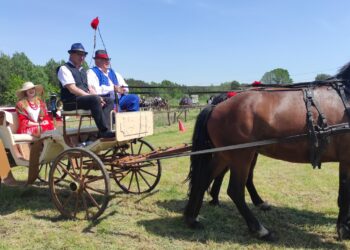 Żarówka:  Po raz 14. Parada Konna w Żarówce.