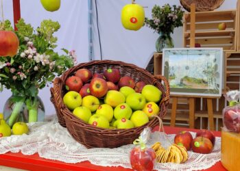 Sandomierz: Sandomierskie jabłka na Jabłonki Swawole Food – Music Apple Festival.