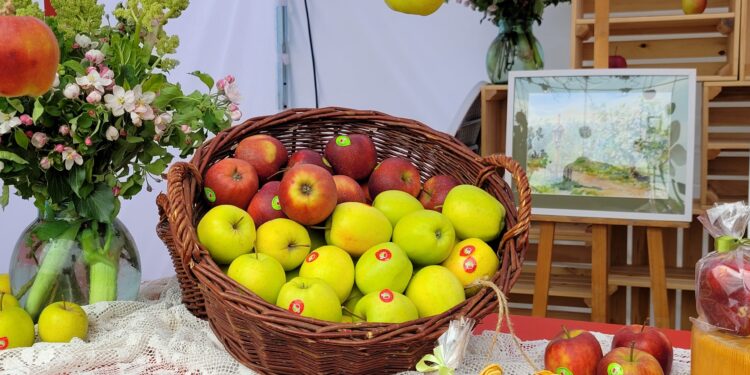 Sandomierz: Sandomierskie jabłka na Jabłonki Swawole Food – Music Apple Festival.