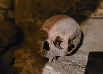 Zawichost: Zabytkowe świątynie zdradziły swoje sekrety.