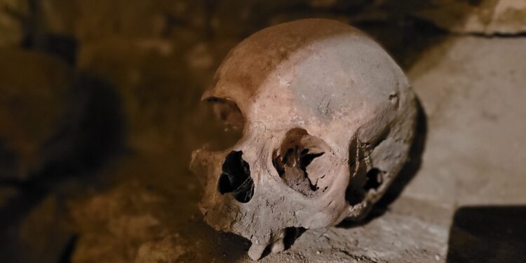 Zawichost: Zabytkowe świątynie zdradziły swoje sekrety.