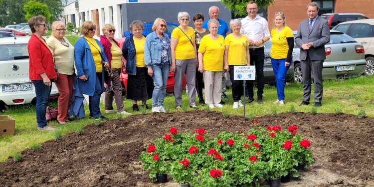 Sandomierz: Skwer Amazonek wyrazem wdzięczności dla personelu medycznego.
