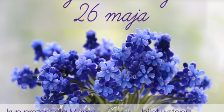 Sandomierz: Dzień Matki w Muzeum Zamkowym.