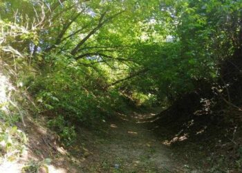 Góry Wysokie, Dziurów: Wąwozy będą bezpieczne.