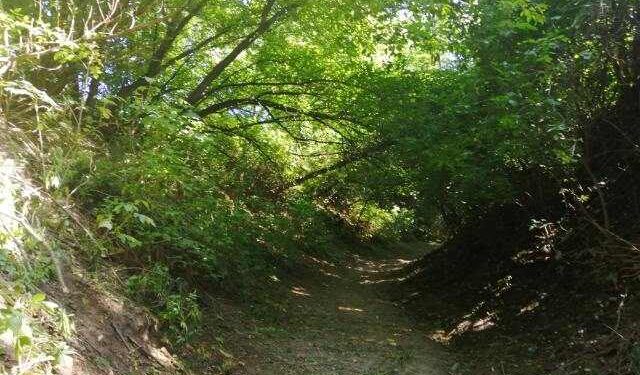 Góry Wysokie, Dziurów: Wąwozy będą bezpieczne.