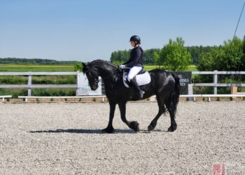 Grębów. Drugie spotkania jeździeckie w Wydrzy