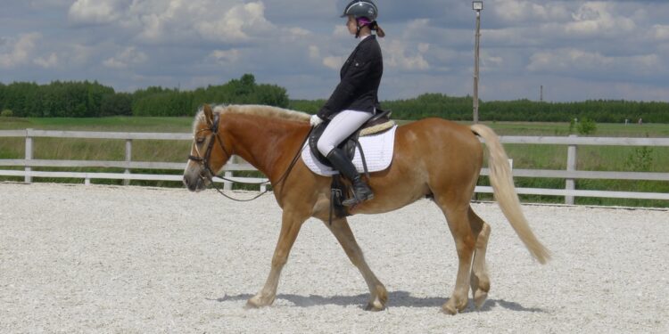Grębów. Powracają Wydrzańskie Spotkania Jeździeckie