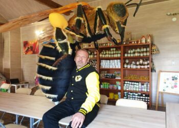 Zabrnie, gmina Grębów. Gigantyczna pszczoła, wielki miś – ul i wiele innych w Pasiece u Trutnia.