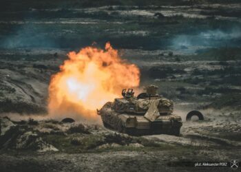 Nowa Dęba. Anakonda na poligonie