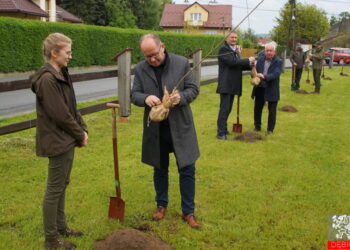 Stalowa Wola: Trwa nabór dla osób pracujących ze Stalowej Woli i Niska na bezpłatne szkolenia