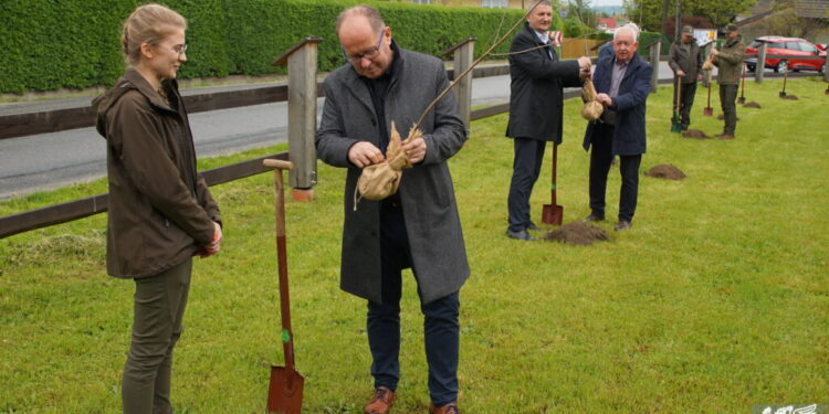 Stalowa Wola: Trwa nabór dla osób pracujących ze Stalowej Woli i Niska na bezpłatne szkolenia