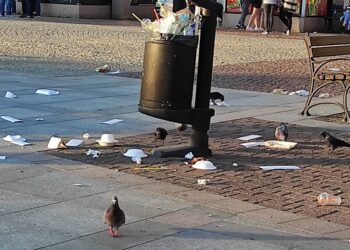 Mielec: Czy będzie czyściej na placu AK?