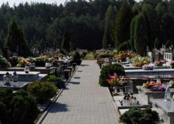 Mielec: Wyszukiwarka grobów osób