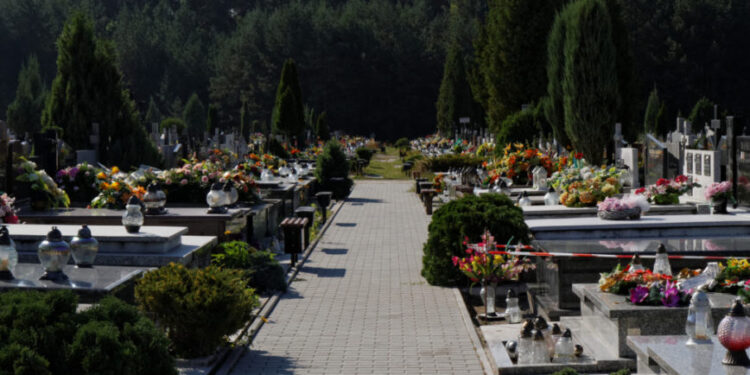 Mielec: Wyszukiwarka grobów osób