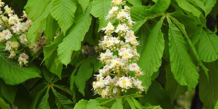 Tarnobrzeg. Matura 2023.