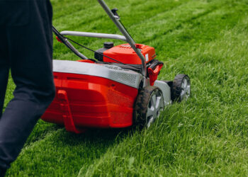 Mielec: Kosić, nie kosić ?