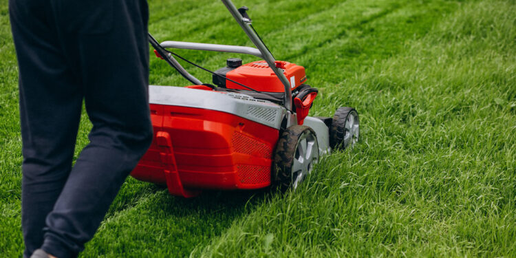 Mielec: Kosić, nie kosić ?