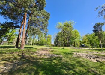 Stalowa Wola: Ruszyła rewitalizacja Ogrodu Jordanowskiego