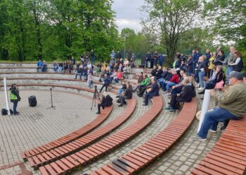 Tarnobrzeg. Nie chcą wycinki drzew w mieście. W tej sprawie odbyło się  spotkanie informacyjno-konsultacyjne.