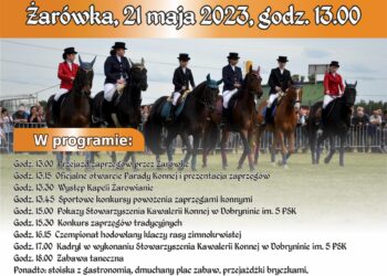 Radomyśl Wielki: Po raz 14.Parada Konna w Żarówce