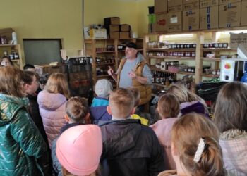 Mielec:  Być bliżej pszczół…