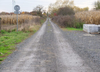 Stalowa Wola: PD Projekt wykona dokumentację dróg na Posaniu