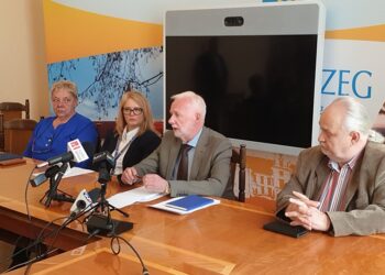 Tarnobrzeg. Oszczędzą drzewa na Przywiślu.